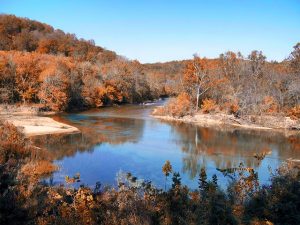 The woods in Missouri