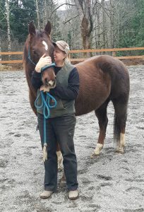 Broken hoof