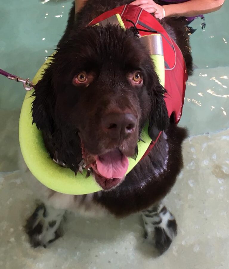 Comedy to Crime: The Making of a Crime Novelist - Elena Taylor